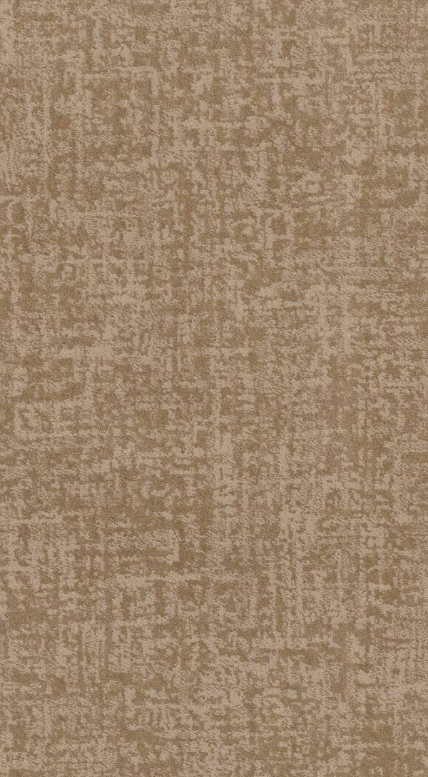 Anderson Tuftex Carpet FINE STRUCTURE - 00721 NATURAL BEAUTY