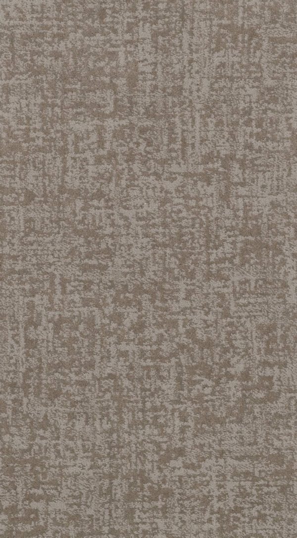 Anderson Tuftex Carpet FINE STRUCTURE - 00724 STUCCO