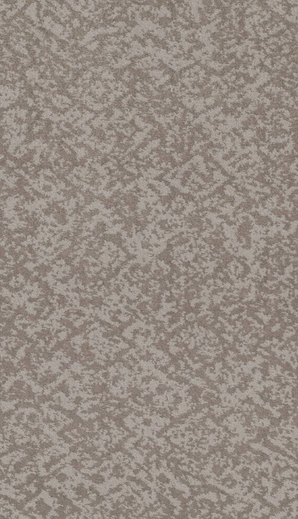 Shaw Floors Retail FREE SPIRIT - 00126 COLD WINTER