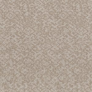 Shaw Floors Retail FREE SPIRIT - 00128 BALTIC STONE