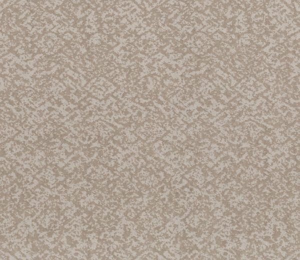 Shaw Floors Retail FREE SPIRIT - 00128 BALTIC STONE