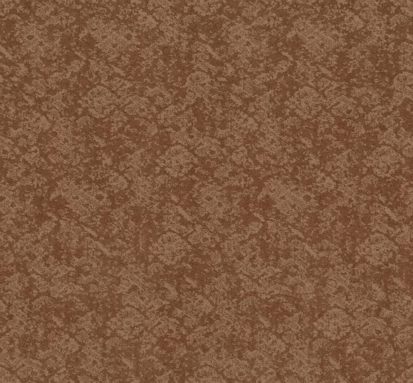 Shaw Floors Retail FREE SPIRIT - 00650 SUNBAKED