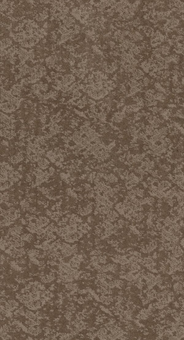 Shaw Floors Retail FREE SPIRIT - 00749 TUMBLEWEED