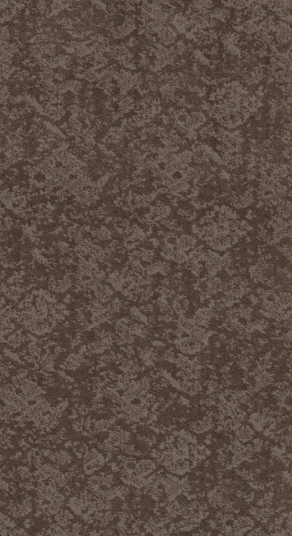 Shaw Floors Retail FREE SPIRIT - 00751 RIDGEVIEW