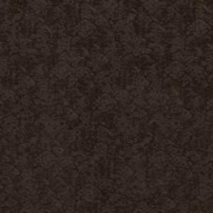 Shaw Floors Retail FREE SPIRIT - 00752 BURMA BROWN
