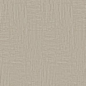 Anderson Tuftex Carpet INSIGHTFUL JOURNEY - 00128 BALTIC STONE