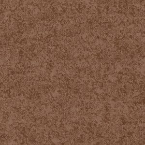Anderson Tuftex Carpet STATE OF MIND - 00650 SUNBAKED