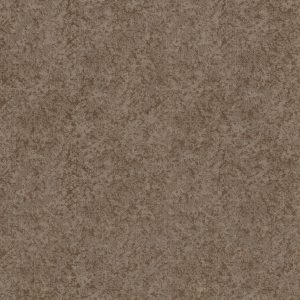Anderson Tuftex Carpet STATE OF MIND - 00749 TUMBLEWEED