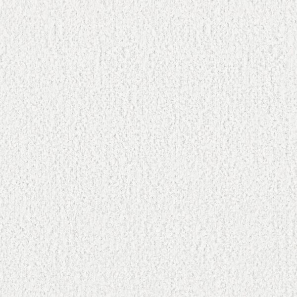 Anderson Tuftex Carpet ARTISTIC PRESENCE - 00150 SNOWFALL