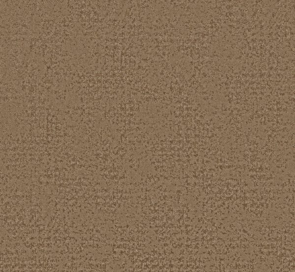 Anderson Tuftex Carpet ARTISTIC PRESENCE - 00720 RAW WOOD