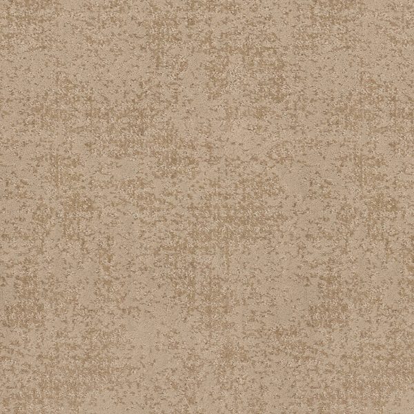 Anderson Tuftex Carpet ARTISTIC PRESENCE - 00721 NATURAL BEAUTY