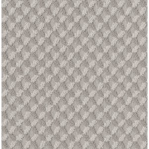 Anderson Tuftex Carpet INSPIRED DESIGN - 00126 COLD WINTER