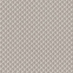 Anderson Tuftex Carpet INSPIRED DESIGN - 00128 BALTIC STONE