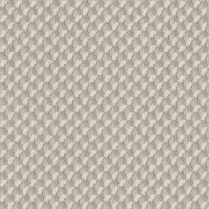 Anderson Tuftex Carpet INSPIRED DESIGN - 00156 DELICATE CREAM