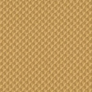 Anderson Tuftex Carpet INSPIRED DESIGN - 00250 TURMERIC