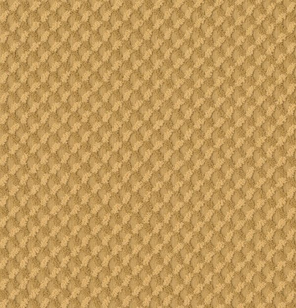 Anderson Tuftex Carpet INSPIRED DESIGN - 00250 TURMERIC