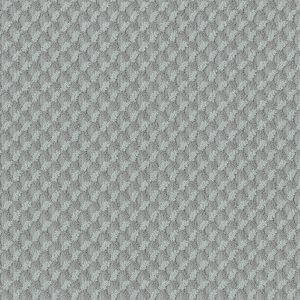 Anderson Tuftex Carpet INSPIRED DESIGN - 00307 WATERS EDGE