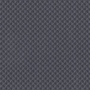 Anderson Tuftex Carpet INSPIRED DESIGN - 00433 DEEP SEA