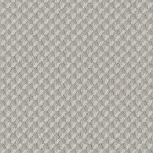 Anderson Tuftex Carpet INSPIRED DESIGN - 00514 MINIMAL
