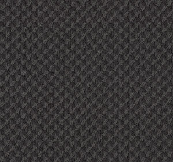 Anderson Tuftex Carpet INSPIRED DESIGN - 00533 WROUGHT IRON