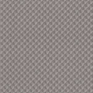 Anderson Tuftex Carpet INSPIRED DESIGN - 00536 GROUNDED GRAY