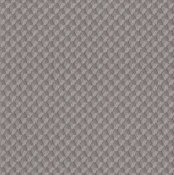 Anderson Tuftex Carpet INSPIRED DESIGN - 00536 GROUNDED GRAY