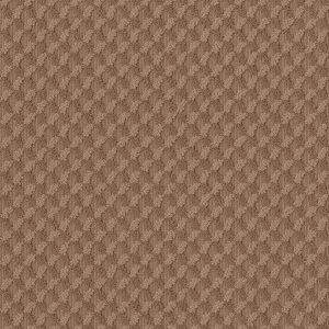 Anderson Tuftex Carpet INSPIRED DESIGN - 00650 SUNBAKED