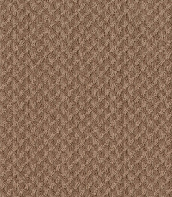 Anderson Tuftex Carpet INSPIRED DESIGN - 00650 SUNBAKED