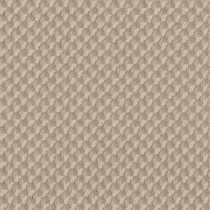 Anderson Tuftex Carpet INSPIRED DESIGN - 00721 NATURAL BEAUTY