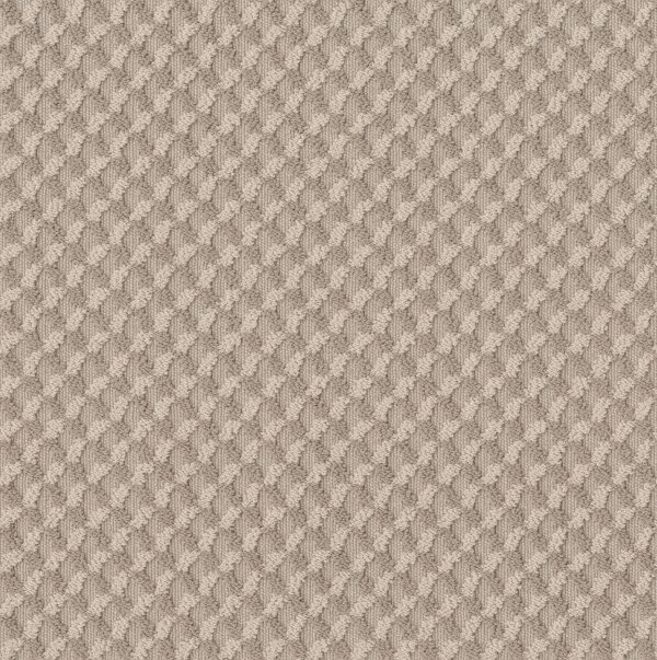 Anderson Tuftex Carpet INSPIRED DESIGN - 00721 NATURAL BEAUTY