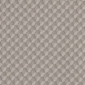 Anderson Tuftex Carpet INSPIRED DESIGN - 00724 STUCCO