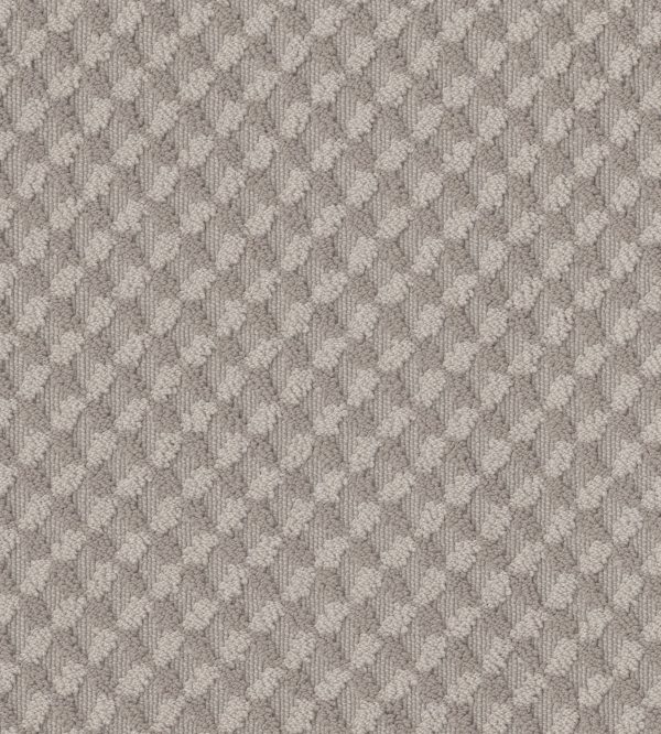 Anderson Tuftex Carpet INSPIRED DESIGN - 00724 STUCCO