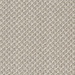 Anderson Tuftex Carpet INSPIRED DESIGN - 00743 SANDSTONE