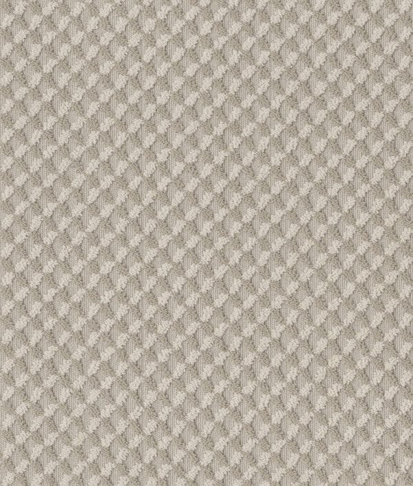 Anderson Tuftex Carpet INSPIRED DESIGN - 00743 SANDSTONE