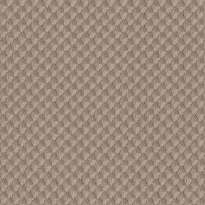 Anderson Tuftex Carpet INSPIRED DESIGN - 00749 TUMBLEWEED