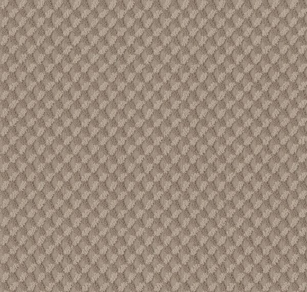 Anderson Tuftex Carpet INSPIRED DESIGN - 00749 TUMBLEWEED