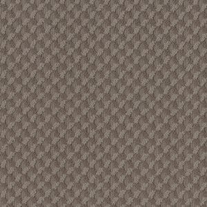 Anderson Tuftex Carpet INSPIRED DESIGN - 00751 RIDGEVIEW