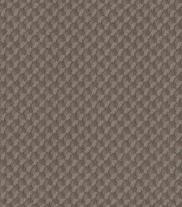 Anderson Tuftex Carpet INSPIRED DESIGN - 00751 RIDGEVIEW