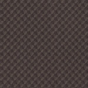 Anderson Tuftex Carpet INSPIRED DESIGN - 00752 BURMA BROWN