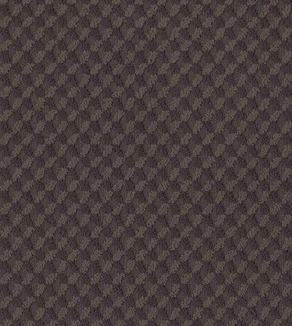 Anderson Tuftex Carpet INSPIRED DESIGN - 00752 BURMA BROWN