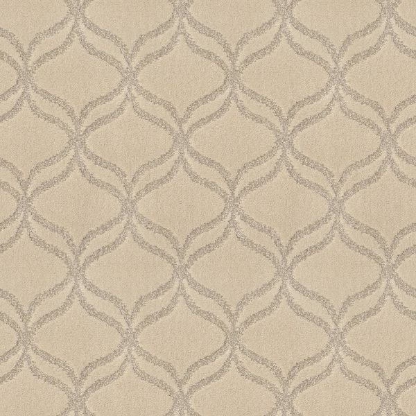 Anderson Tuftex Carpet APPRECIATION - 00101 SOFT FLEECE