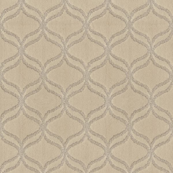Anderson Tuftex Carpet APPRECIATION - 00102 MOHAIR
