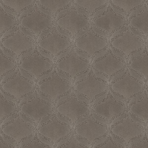 Anderson Tuftex Carpet APPRECIATION - 00503 ARCTIC FROST