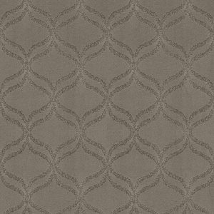 Anderson Tuftex Carpet APPRECIATION - 00554 LADY IN GREY