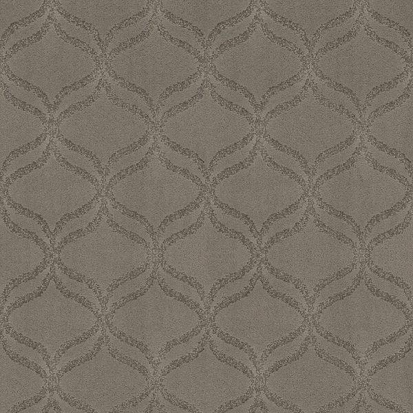 Anderson Tuftex Carpet APPRECIATION - 00554 LADY IN GREY
