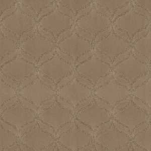 Anderson Tuftex Carpet APPRECIATION - 00701 LLAMA