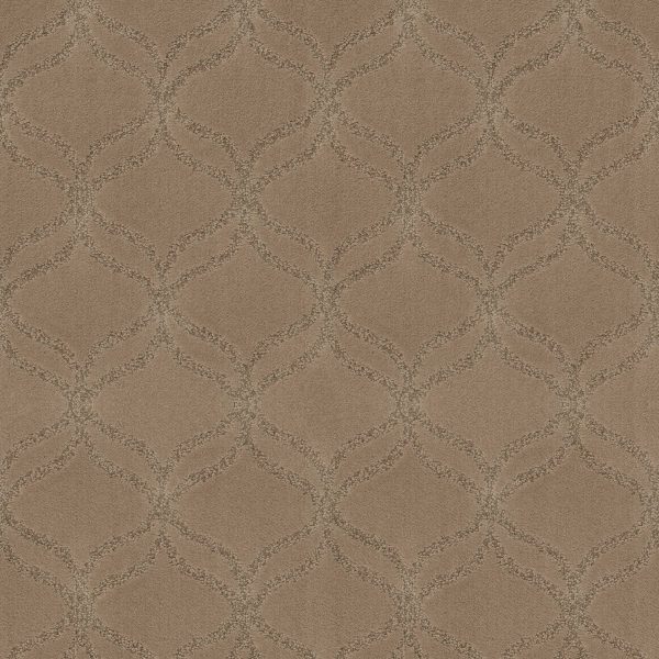 Anderson Tuftex Carpet APPRECIATION - 00701 LLAMA