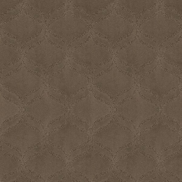 Anderson Tuftex Carpet APPRECIATION - 00706 PEBBLE CREEK