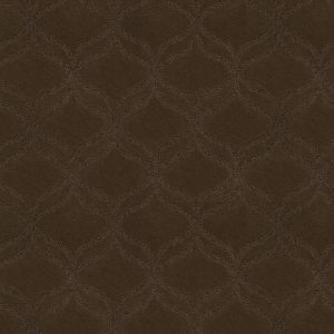 Anderson Tuftex Carpet APPRECIATION - 00707 BISON