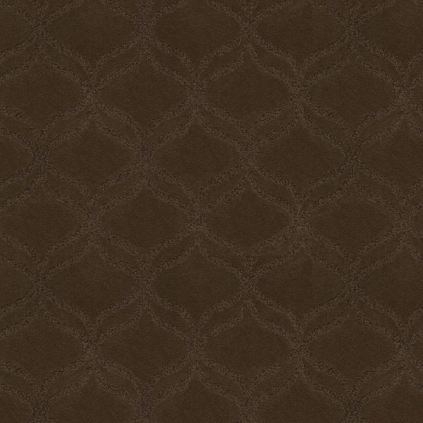 Anderson Tuftex Carpet APPRECIATION - 00707 BISON